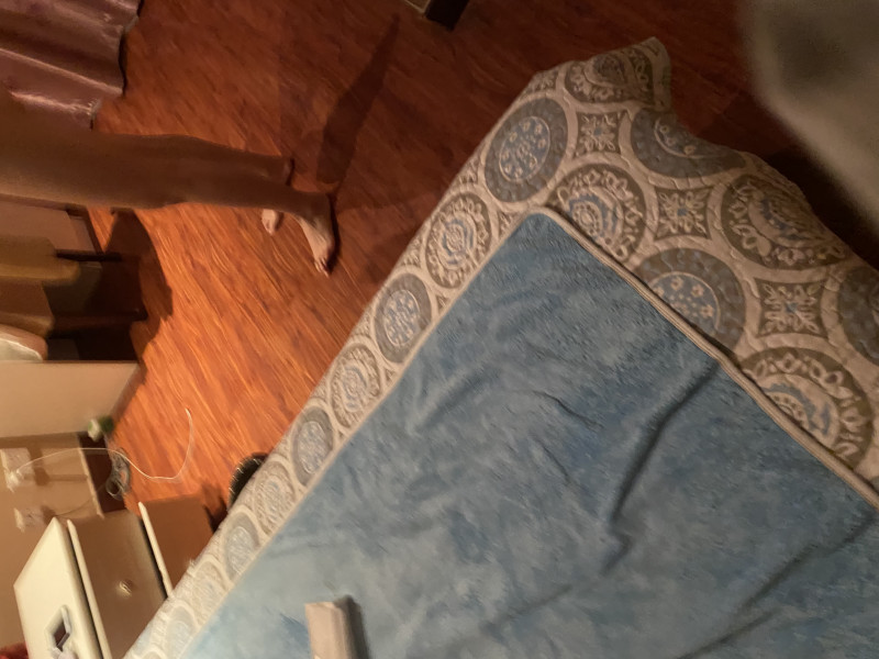 长腿模特小姐姐